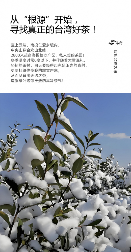 台湾原装进口 臻藏大禹岭茶 磅礴气韵 高冷乌龙茶 台湾高山茶150g