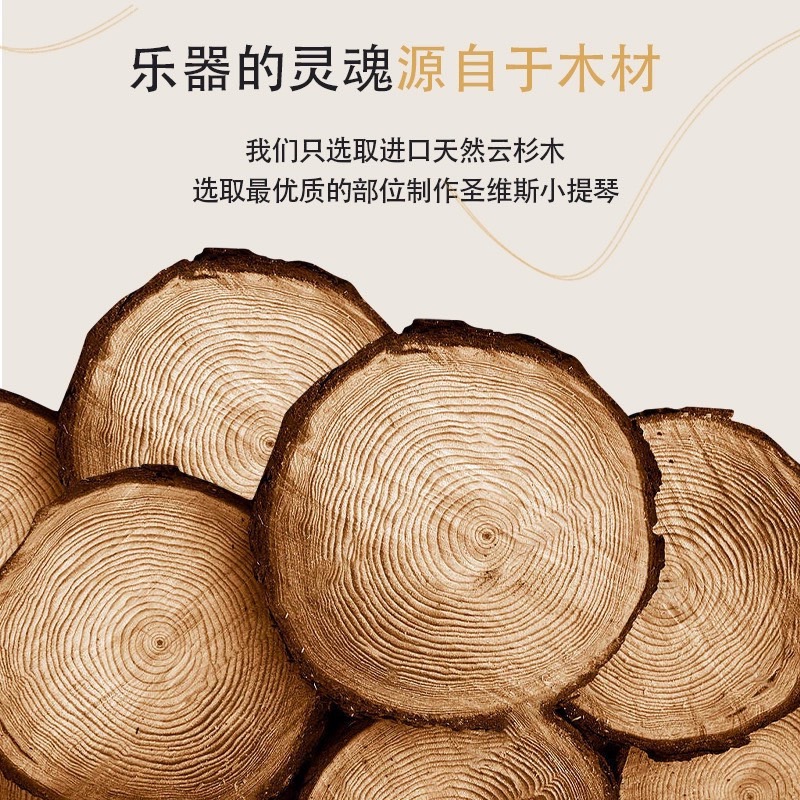 圣维斯sw022欧料纯手工小提琴演奏级音质独奏演出成人儿童考级