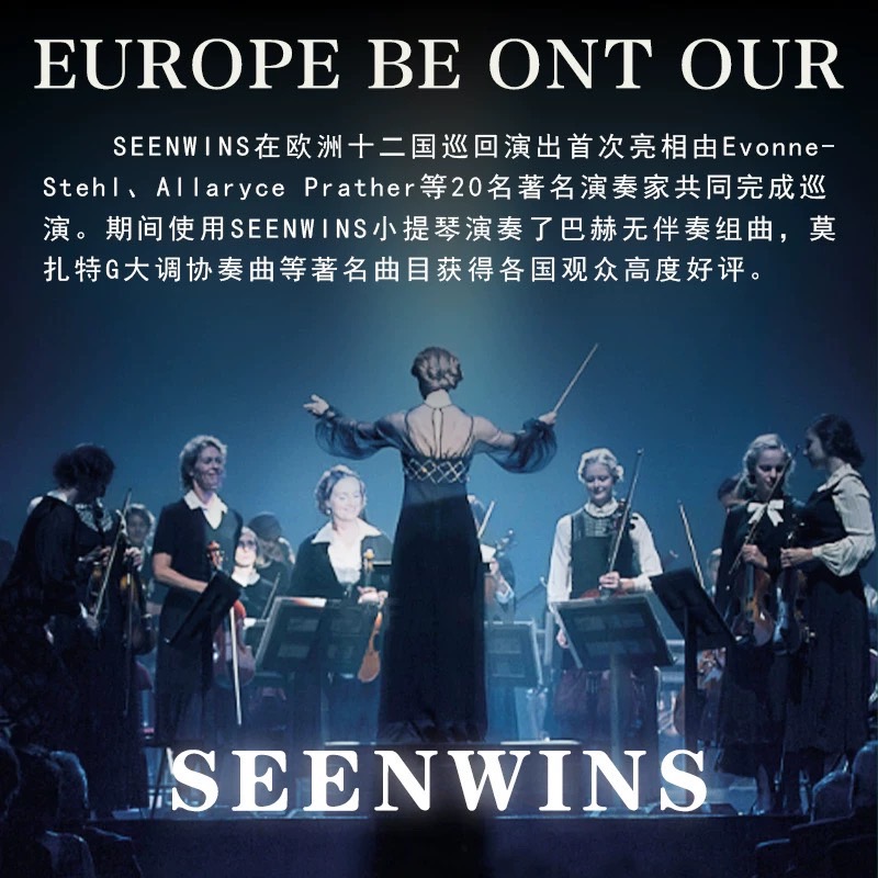 圣维斯sw022欧料纯手工小提琴演奏级音质独奏演出成人儿童考级