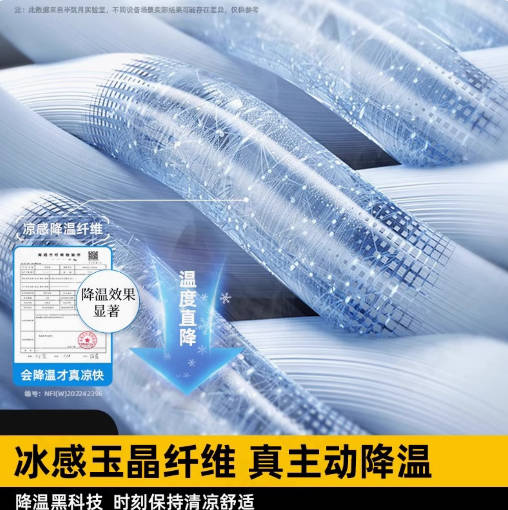 德国2025新款凉席夏季冰丝凉席藤席草席a类母婴冬夏两用双面床垫