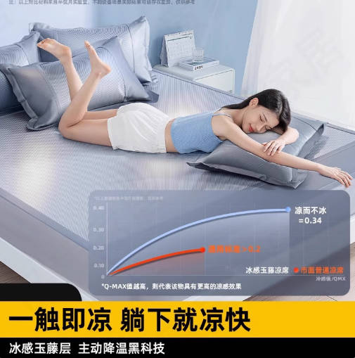 德国2025新款凉席夏季冰丝凉席藤席草席a类母婴冬夏两用双面床垫