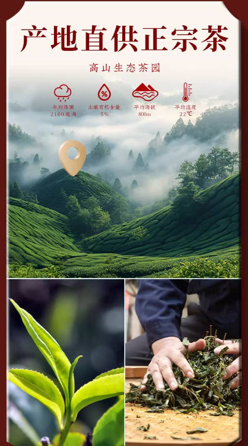 福茗源特级台湾冻顶乌龙茶新茶高山台式乌龙茶浓香型罐装茶叶504g