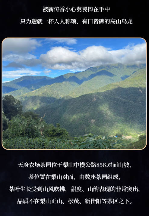 天府梨山茶台湾高山茶150g薪传香原装进口清香乌龙茶梨山高冷茶