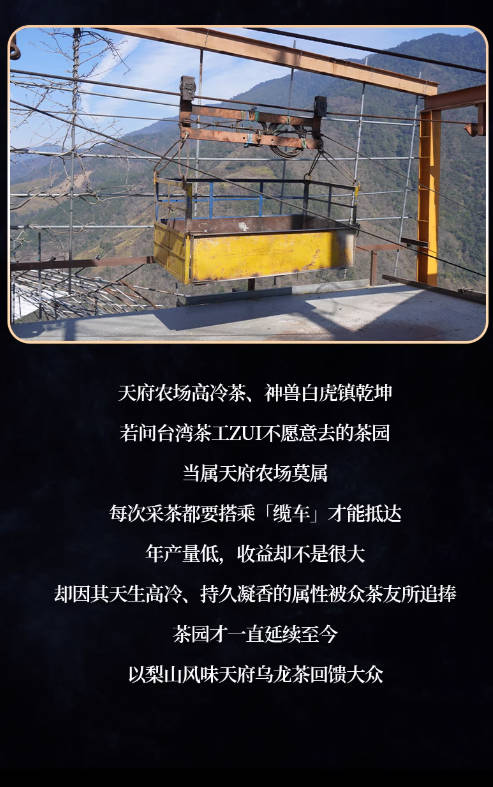 天府梨山茶台湾高山茶150g薪传香原装进口清香乌龙茶梨山高冷茶