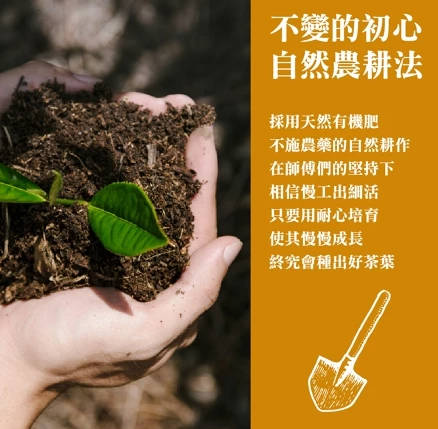 【名池茶业】球状茉莉绿茶20g