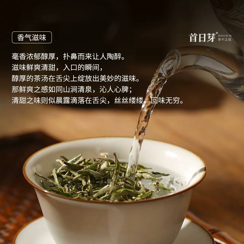 毫香·首日芽®2024年白毫银针福鼎白茶特级白茶茶叶500g收藏装